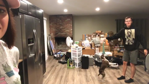 idubbbz takes his dog for a spin