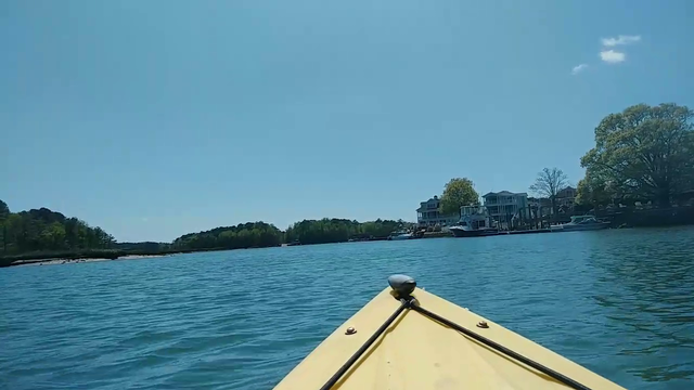Kkona bird catches a flounder