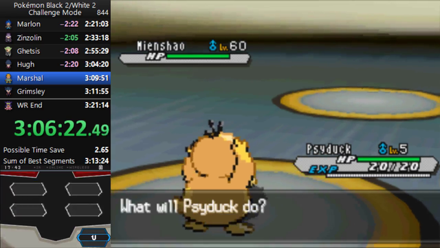 Pokemon speedrunning in a nutshell