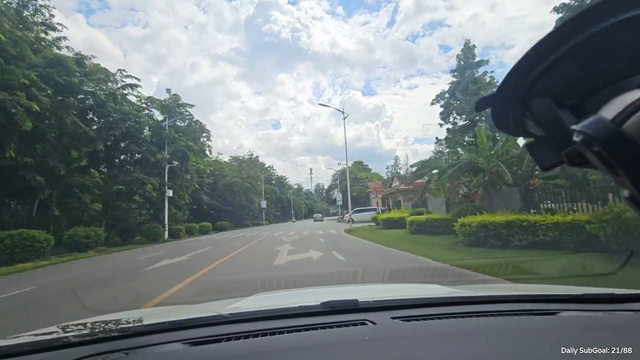 the calmest chinese driver
