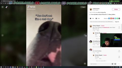 Poke skips a tiktok at the worst time