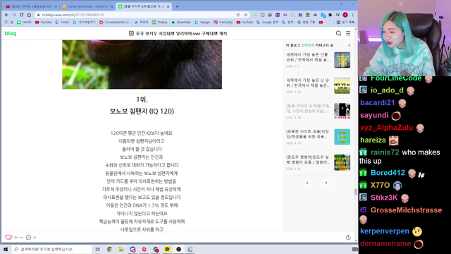 Hachu vs Chimpanzee