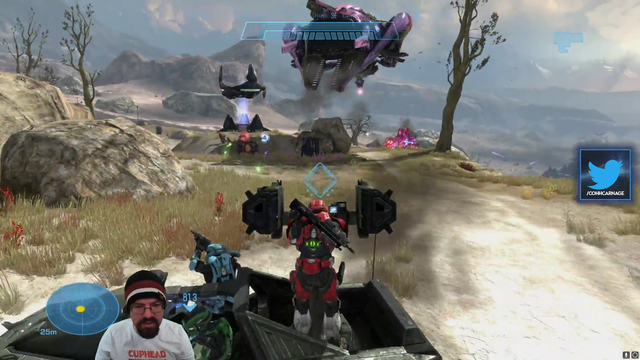 Cohh vs halo physics