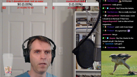 Middle aged white guy Freestyle Raps with chat suggestions over Animal Crossing beat