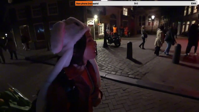 Meowko finds out why you shouldn't stream in the red light district in Amsterdam