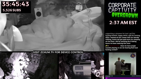 ZChum - Streamer creates pneumatic bed