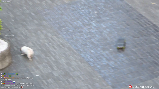 Skateboard dog spotted in Taiwan