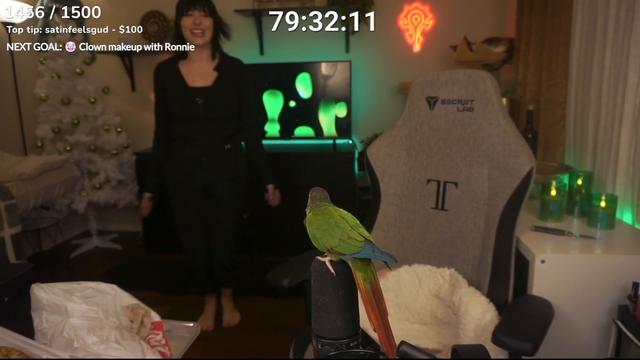 Julias bird pepper helps her do jumping jacks
