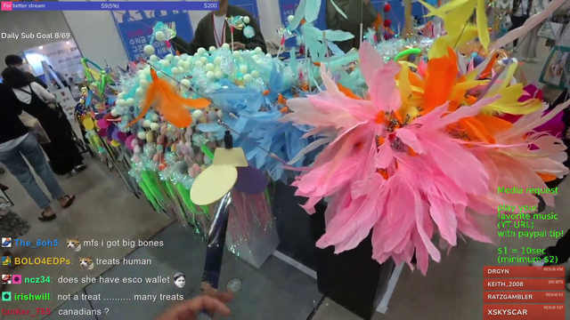 Streamer becomes a cat in pet fair