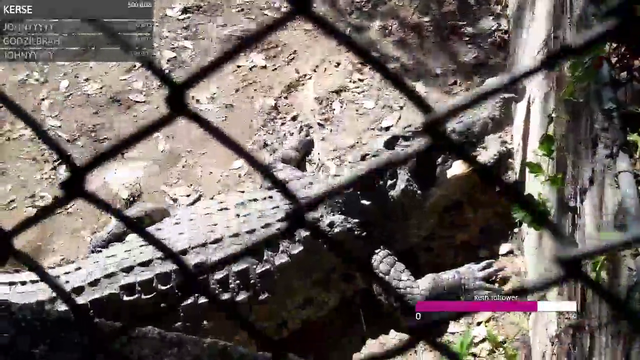 When crocodiles attack