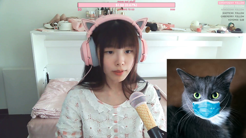 Streamer sings a wholesome song about her dog