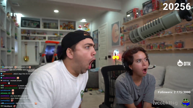 Mizkif puts his mods to work using stickers