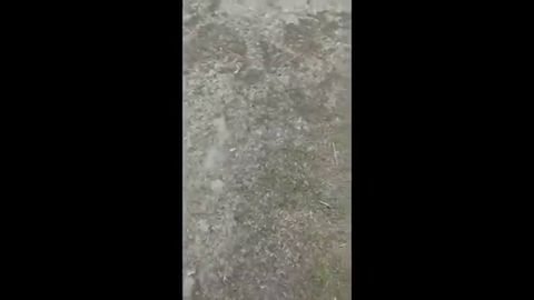 Guy Records on Facebook Live A Fight With Guy who Cheated on his GF