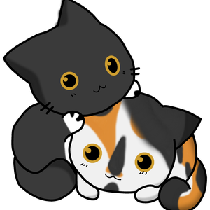 LiveKittyTV