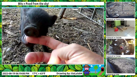 Vicious animal bites streamer's finger.