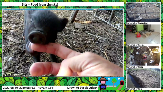 Vicious animal bites streamer's finger.