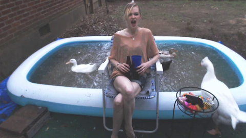 Tree branch falls down on a pool with ducks