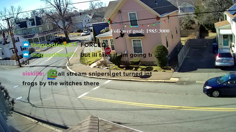 Chat goes crazy over person stopping at stop sign