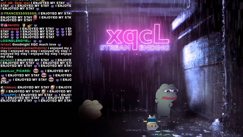 xQc on Cyberbullying