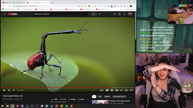 This bug looks familiar..