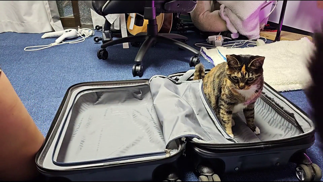 packing starts with the essentials