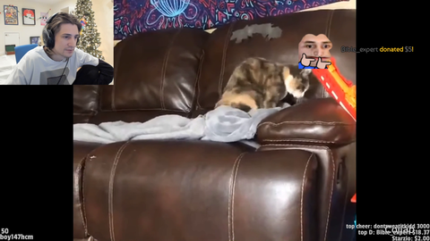 xQc appears on daily dose