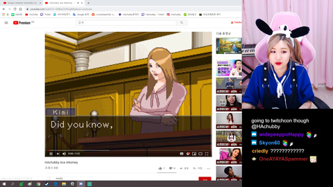 Korean Streamer's community delivers quality ace attorney meme