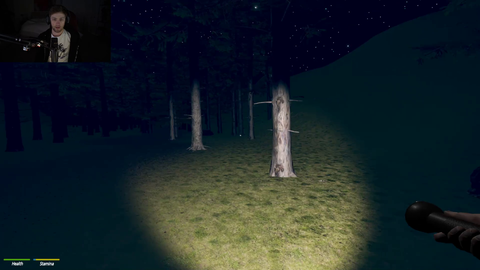 Soda and xQc go for a walk in the woods