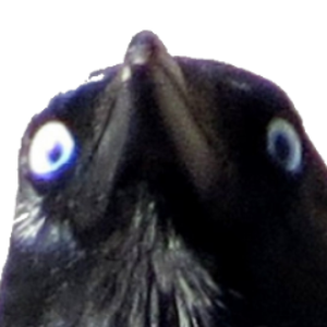 AlphaHills
