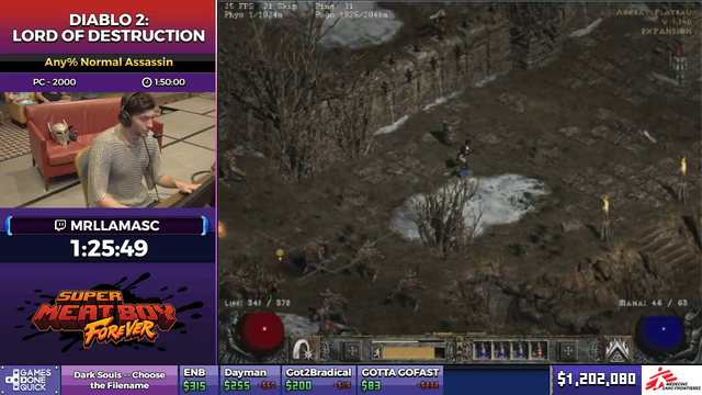 Memer at SGDQ