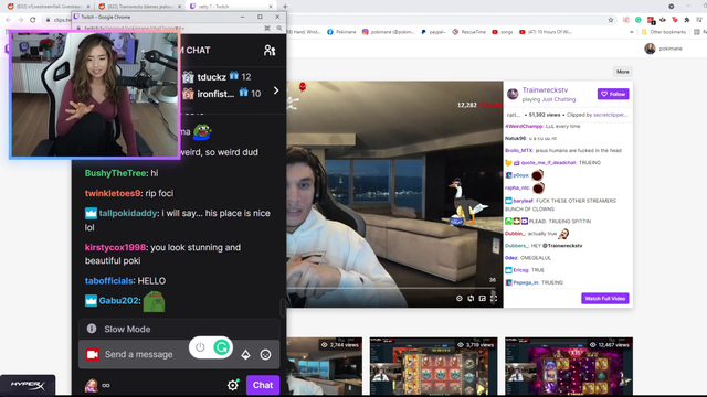 Poki's Opinion on Train