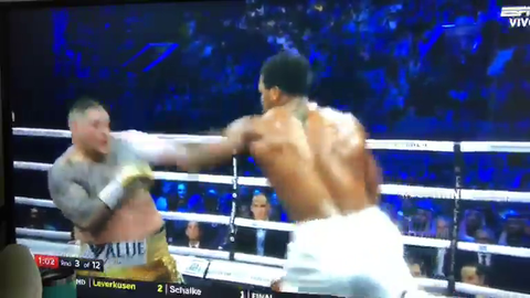 guy restreaming joshua v ruiz fight with his dog
