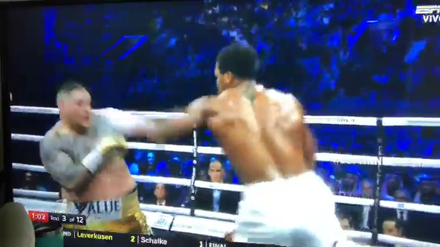 guy restreaming joshua v ruiz fight with his dog