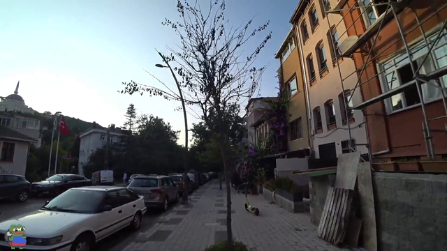 Istanbul is covered with cats