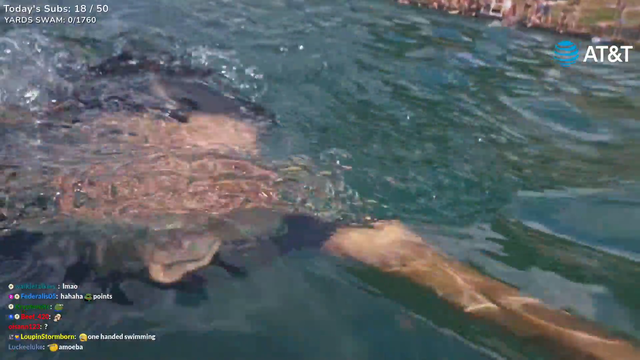 1760 yard "swimming" attempt
