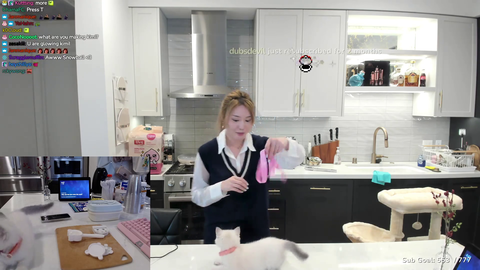 Kimi plays with her new cat