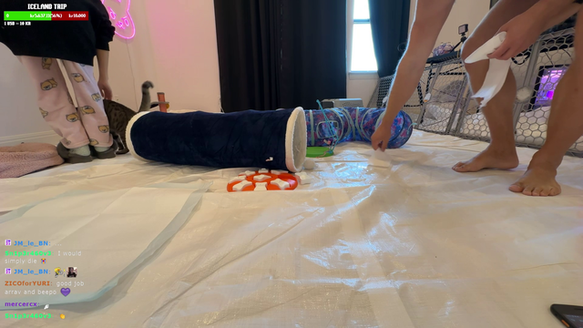 Mizkif's foster cat doesn't want Nat to leave