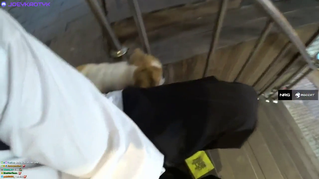 JOEYKAOTYK - Fight Unexpectedly Breaks Out