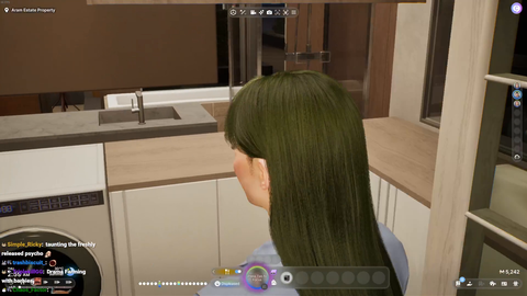 Self-Aware Streamer