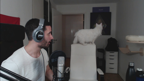 Nymn's cat tries to jump on to his bed