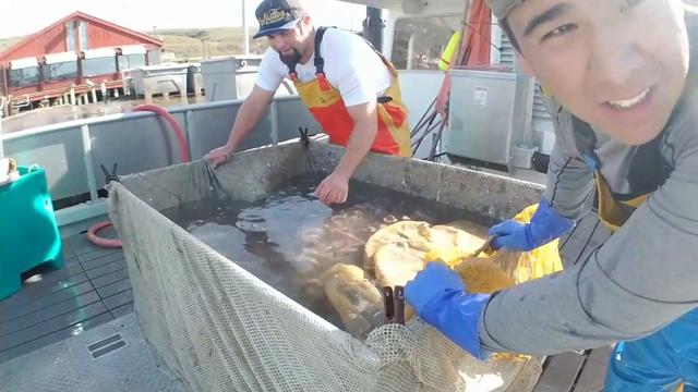Describe taste, hat fish slime