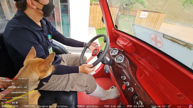 Abandoned stray puppy gets a new home
