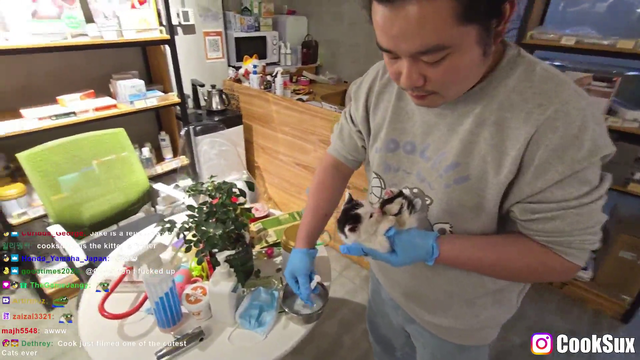 Cook and May5w Saved Stray Cat at Animal Clinic