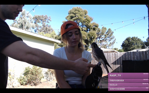 Mizkif tries out a Bird of Prey's talons
