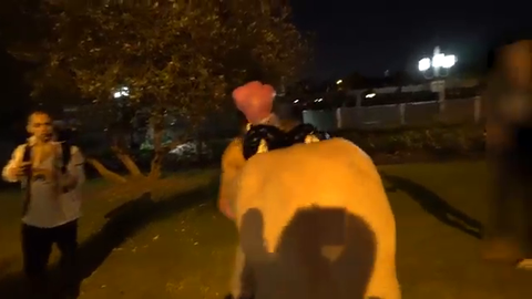 Hyphonix VS Vexxed Liver Shot Causes TKO in 5th Round