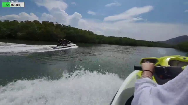 Jet ski into a tree
