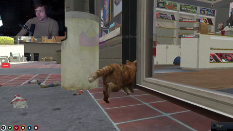 Soda's cat RP is spot on