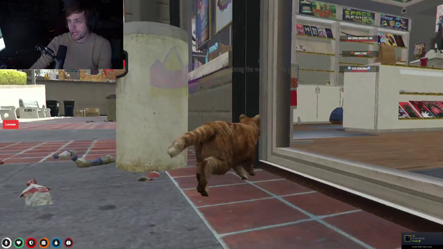 Soda's cat RP is spot on