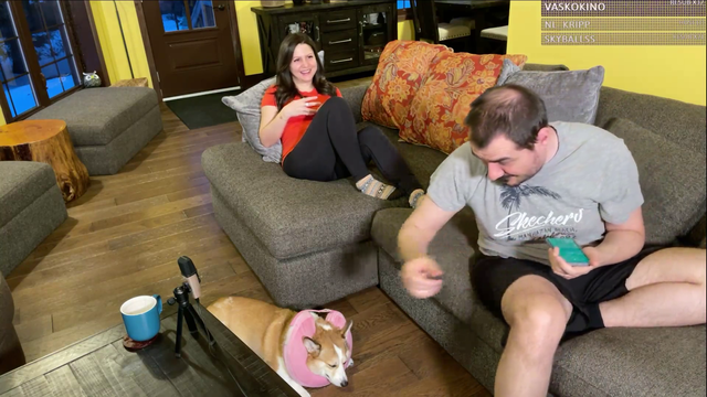 Just snoring: corgi ASMR
