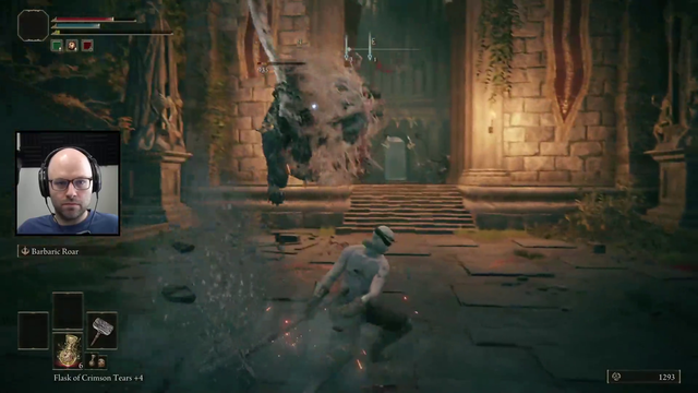 Lion on Lion violence
